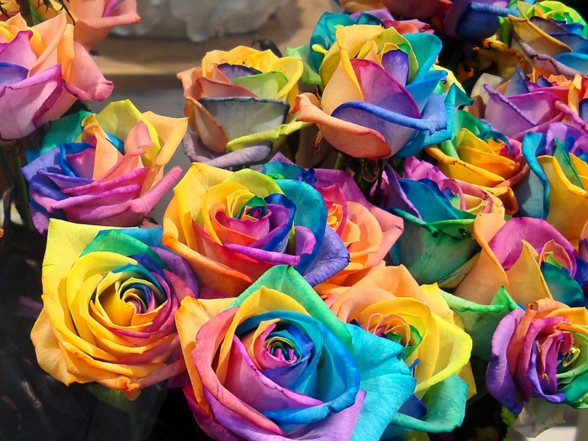 Cele Mai Frumoase Flori Pentru Desktop Full Hd 3d Imagini